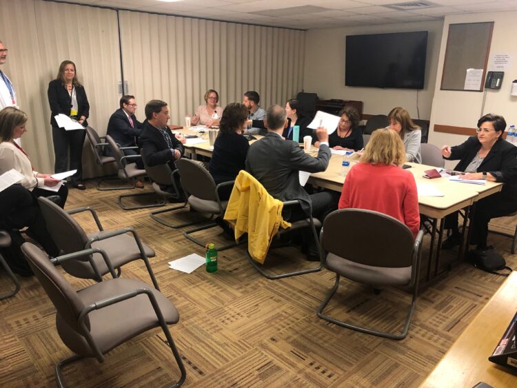 Peer Support Pilot Meeting