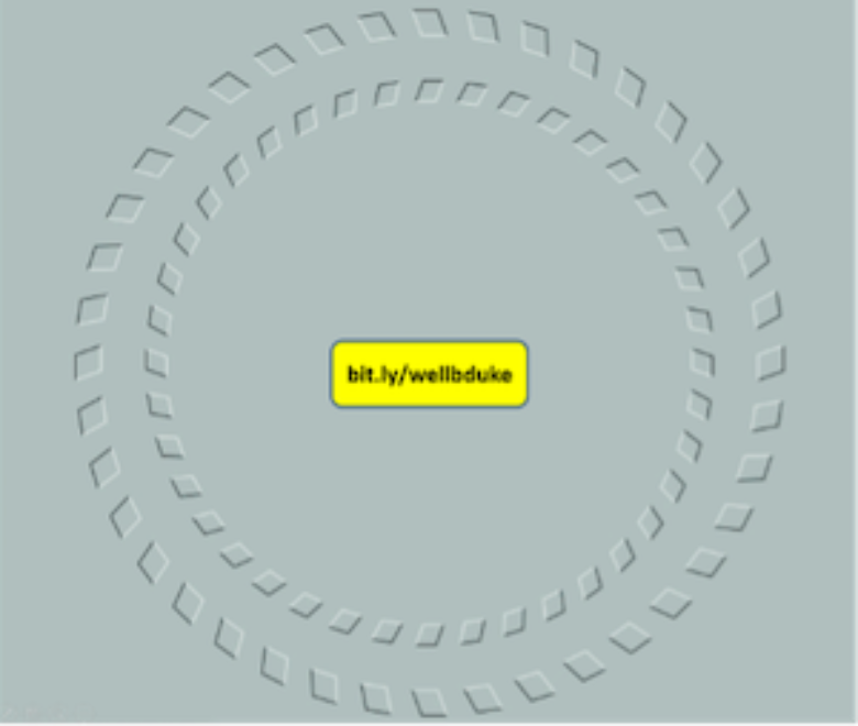 Sexton Optical Illusion