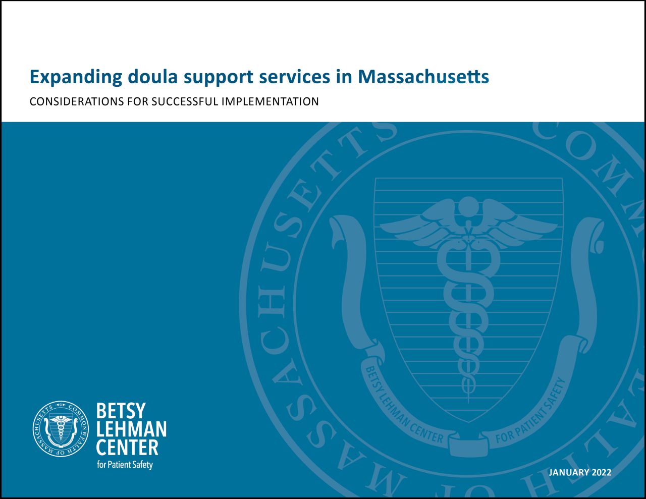 Doula Report Cover